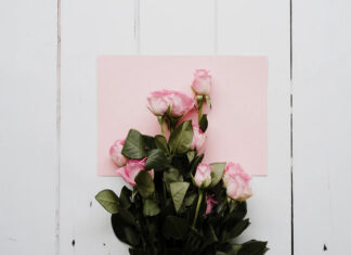 Prezenty na walentynki do 50 zł Prezenty na walentynki do 50 zł