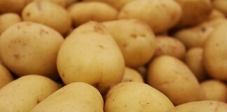 Jak naostrzyć piłę do gałęzi?